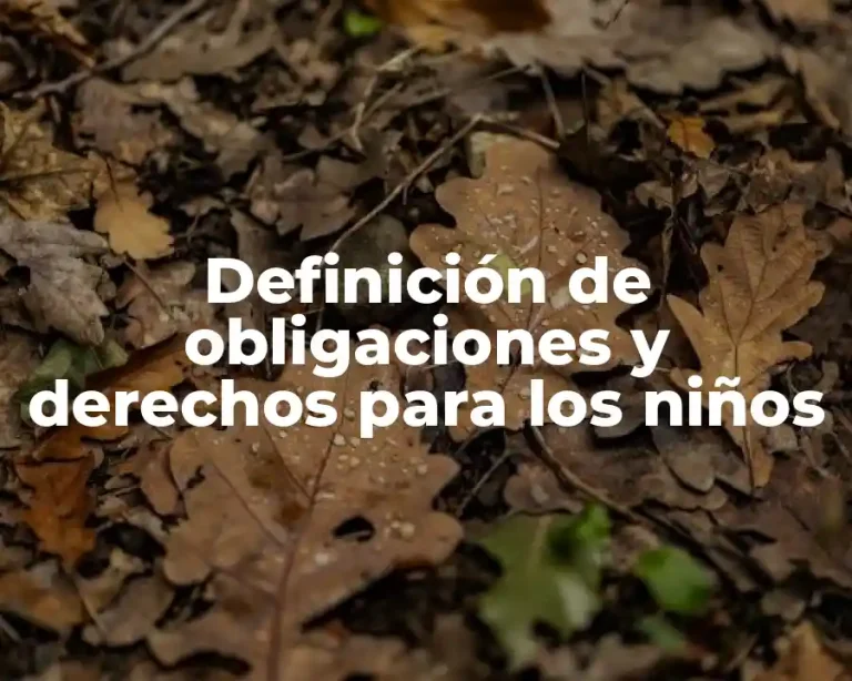 Definición de obligaciones y derechos para los niños