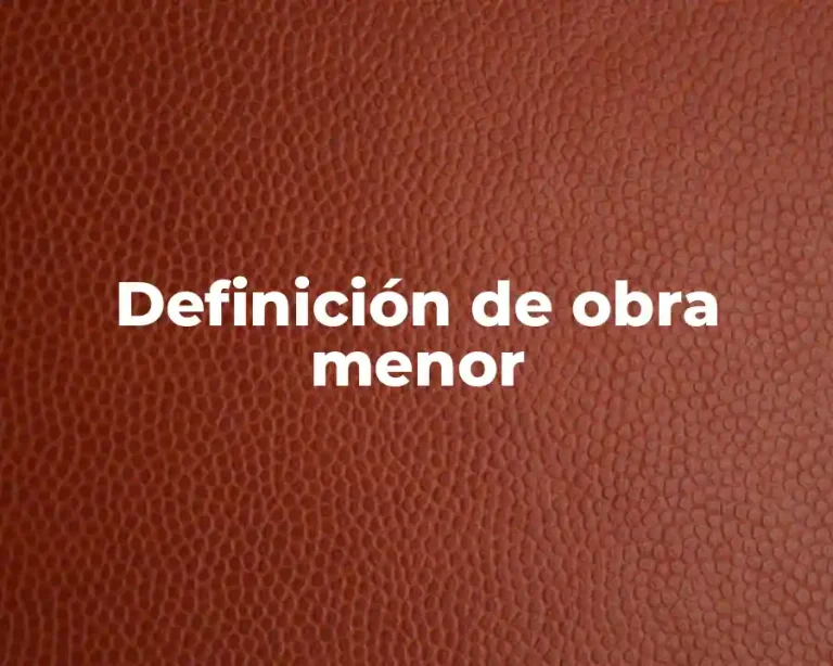 Definición de obra menor