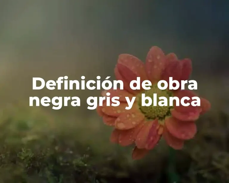 Definición de obra negra gris y blanca