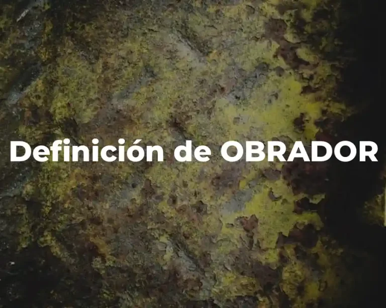 Definición de OBRADOR