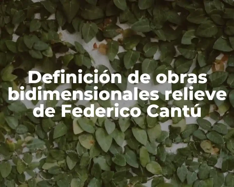 Definición de obras bidimensionales relieve de Federico Cantú