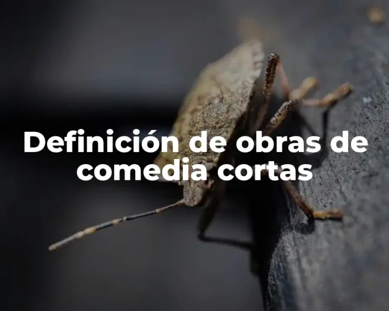 Definición de obras de comedia cortas