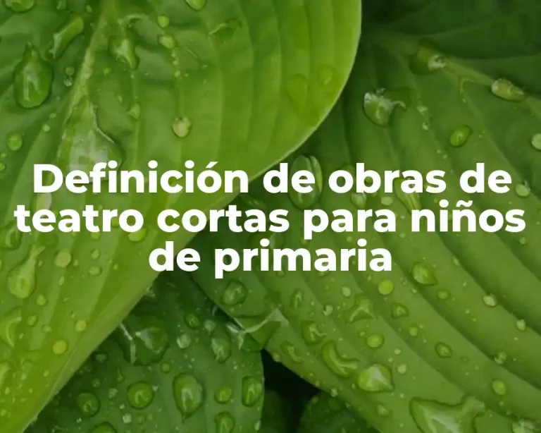 Definición de obras de teatro cortas para niños de primaria
