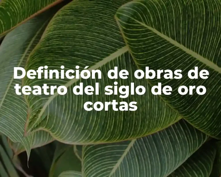Definición de obras de teatro del siglo de oro cortas