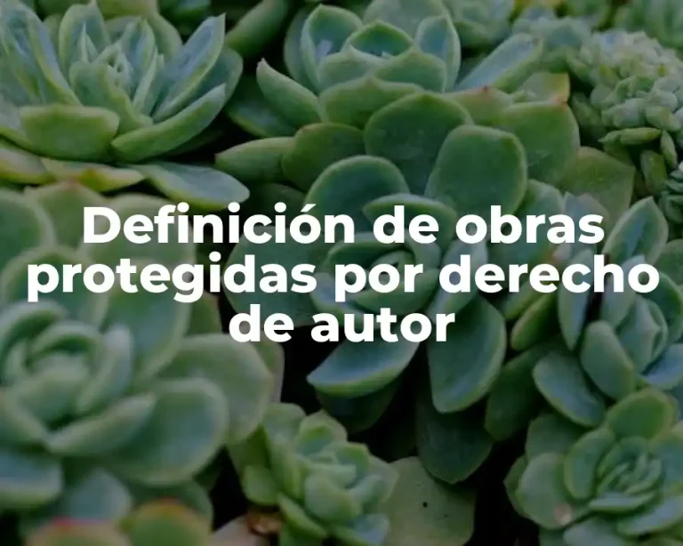 Definición de obras protegidas por derecho de autor