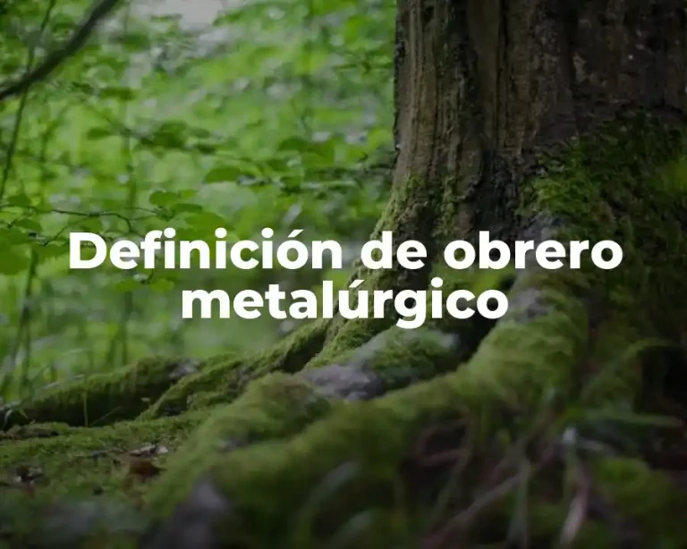 Definición de obrero metalúrgico