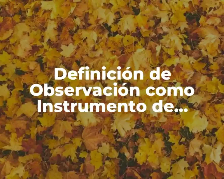 Definición de Observación como Instrumento de Medición