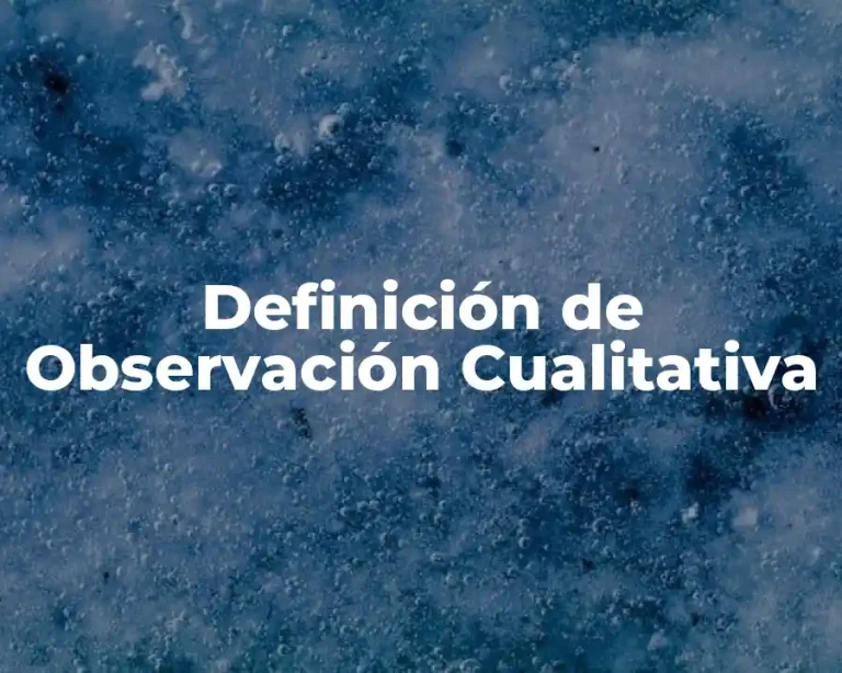 Definición de Observación Cualitativa