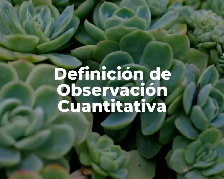 Definición de Observación Cuantitativa
