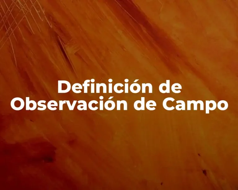 Definición de Observación de Campo
