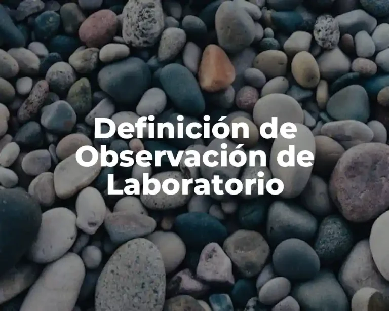 Definición de Observación de Laboratorio