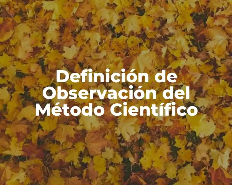 Definición de Observación del Método Científico