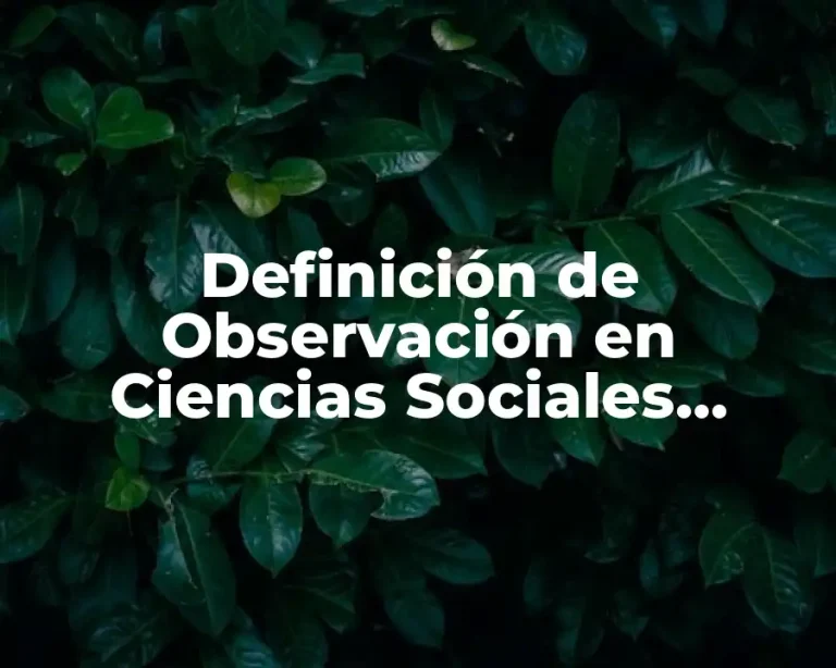 Definición de Observación en Ciencias Sociales Educación Rural
