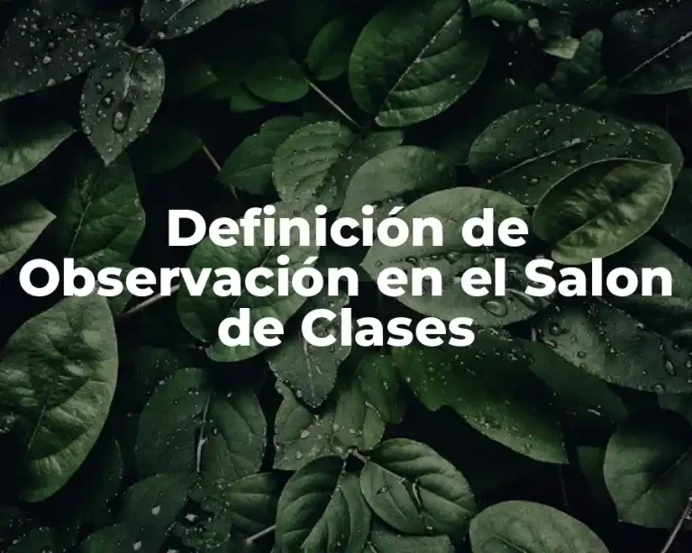 Definición de Observación en el Salon de Clases