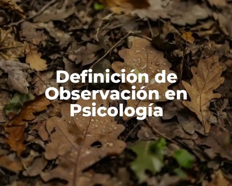 Definición de Observación en Psicología