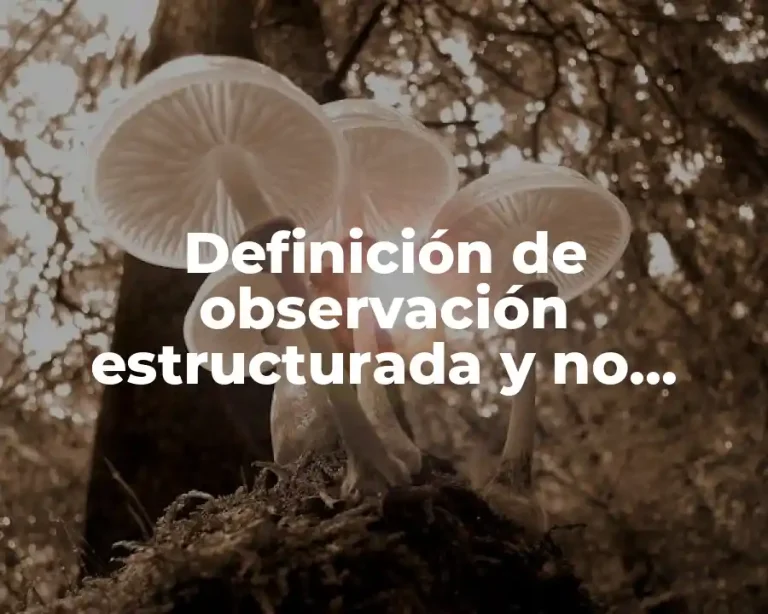 Definición de observación estructurada y no estructurada