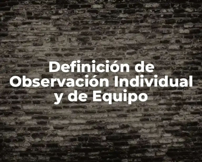 Definición de Observación Individual y de Equipo
