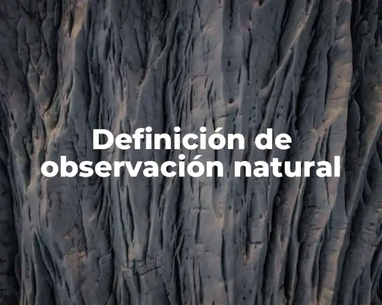 Definición de observación natural