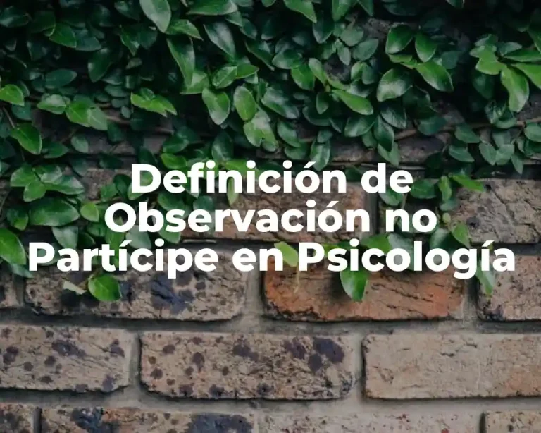 Definición de Observación no Partícipe en Psicología