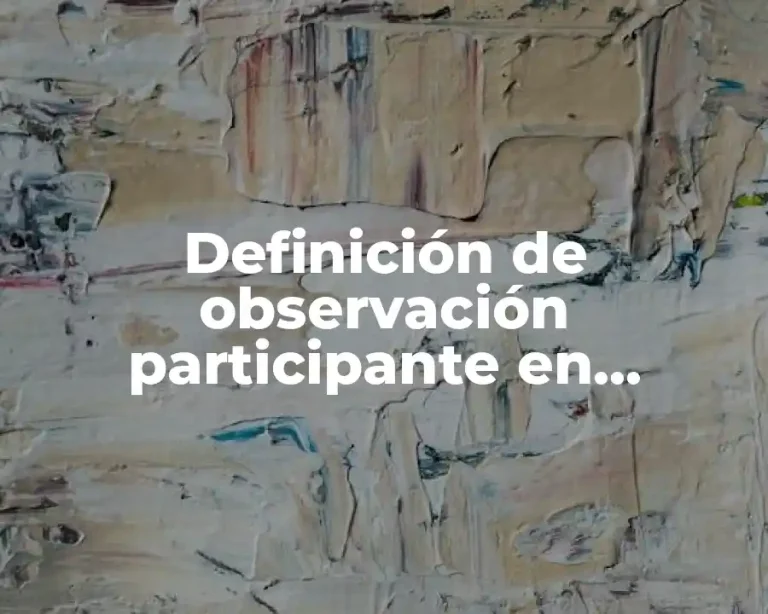 Definición de observación participante en primaria