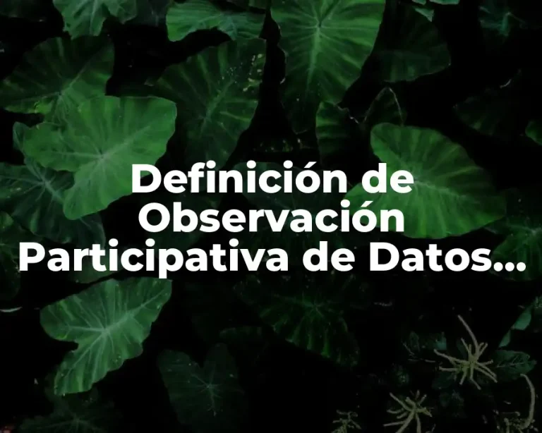 Definición de Observación Participativa de Datos en Trabajo Social