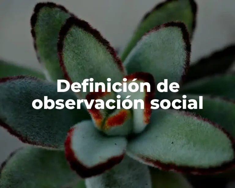 Definición de observación social