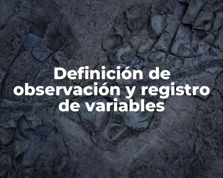 Definición de observación y registro de variables