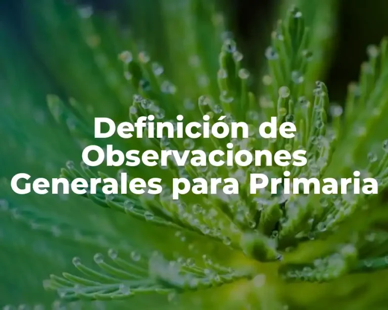 Definición de Observaciones Generales para Primaria
