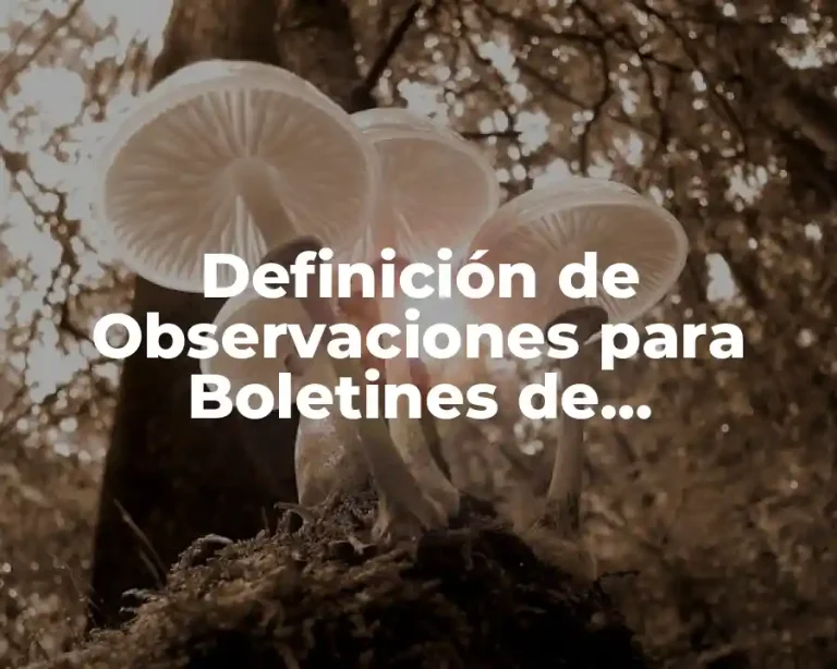 Definición de Observaciones para Boletines de Calificaciones de Primaria