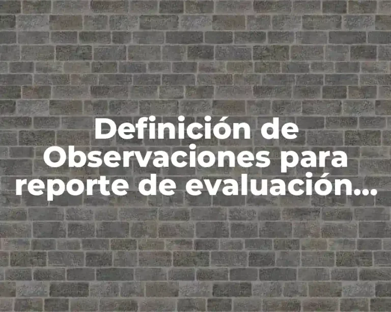 Definición de Observaciones para reporte de evaluación primaria segundo grado