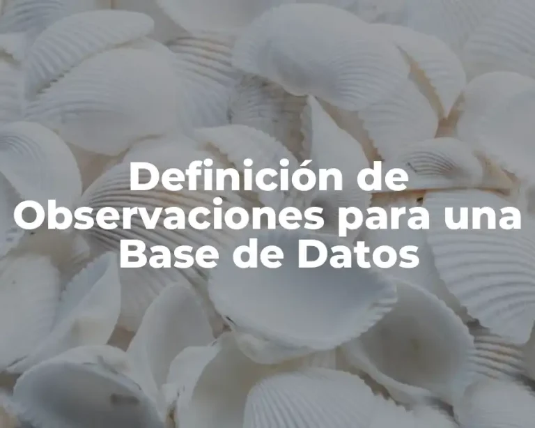 Definición de Observaciones para una Base de Datos