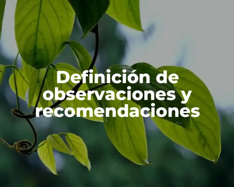 Definición de observaciones y recomendaciones