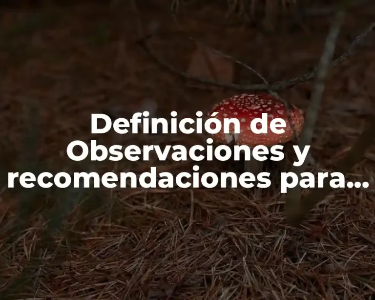 Definición de Observaciones y recomendaciones para boletas de primaria