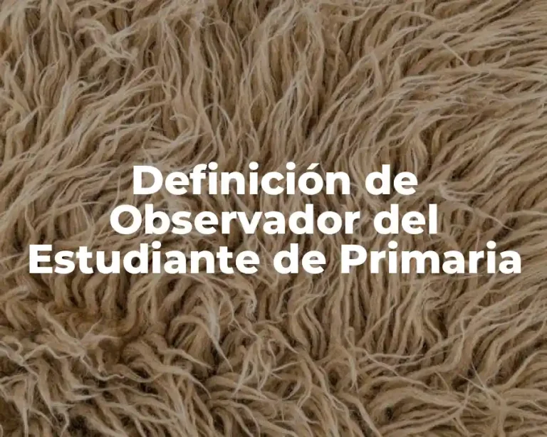 Definición de Observador del Estudiante de Primaria
