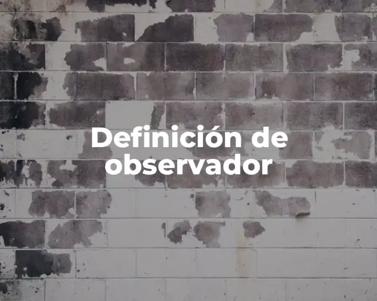 Definición de observador