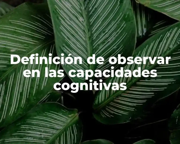 Definición de observar en las capacidades cognitivas