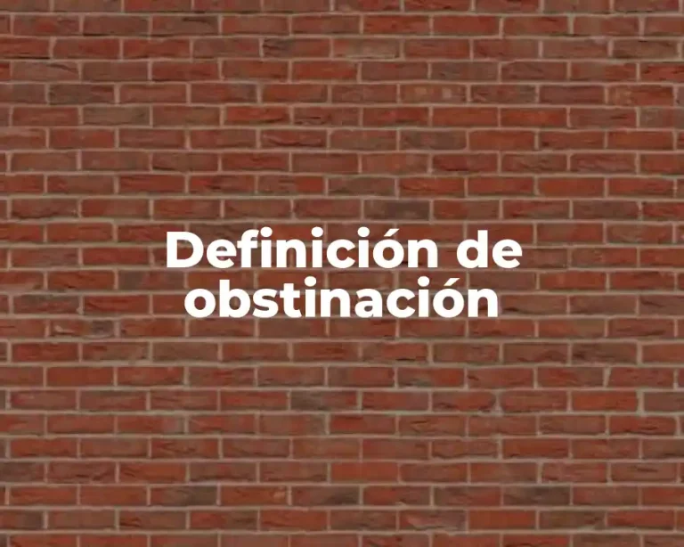 Definición de obstinación
