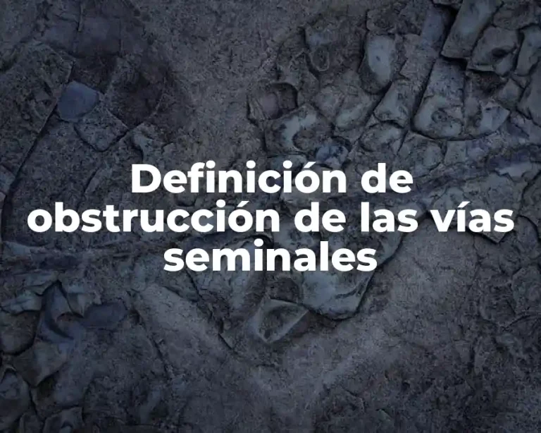 Definición de obstrucción de las vías seminales