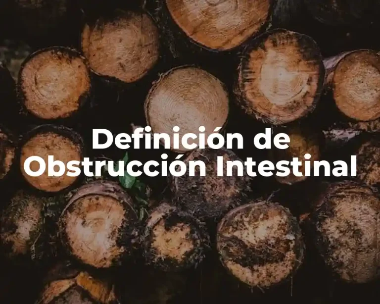 Definición de Obstrucción Intestinal