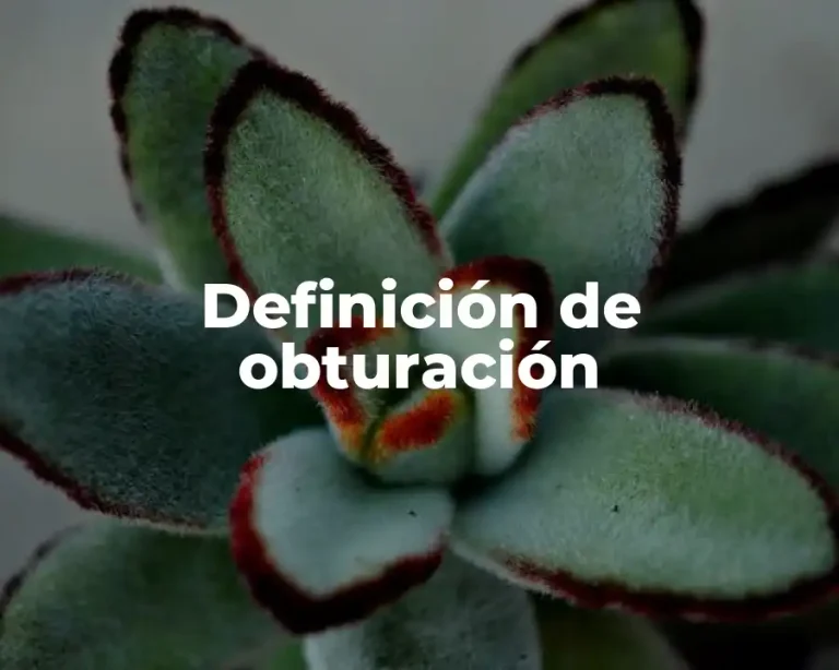 Definición de obturación