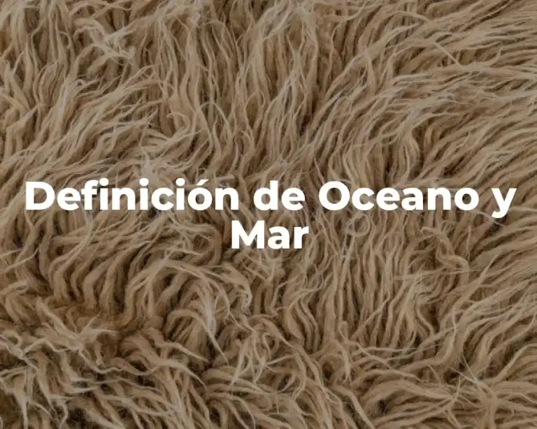 Definición de Oceano y Mar