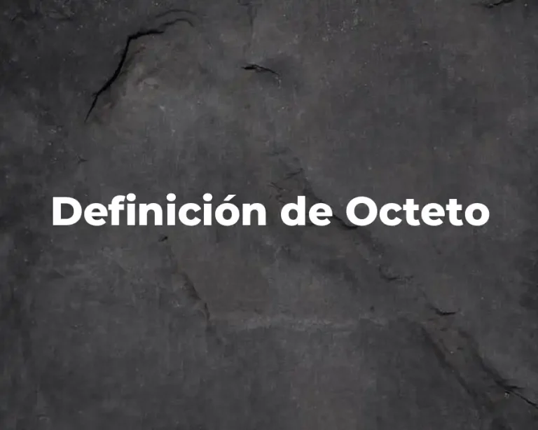 Definición de Octeto