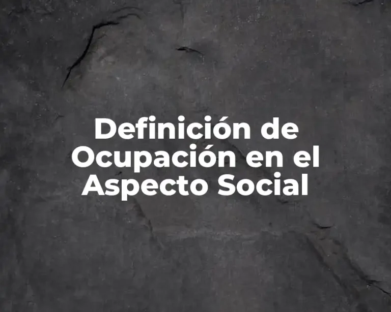 Definición de Ocupación en el Aspecto Social