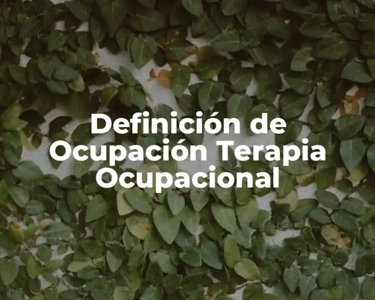 Definición de Ocupación Terapia Ocupacional