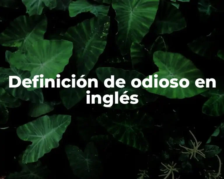 Definición de odioso en inglés