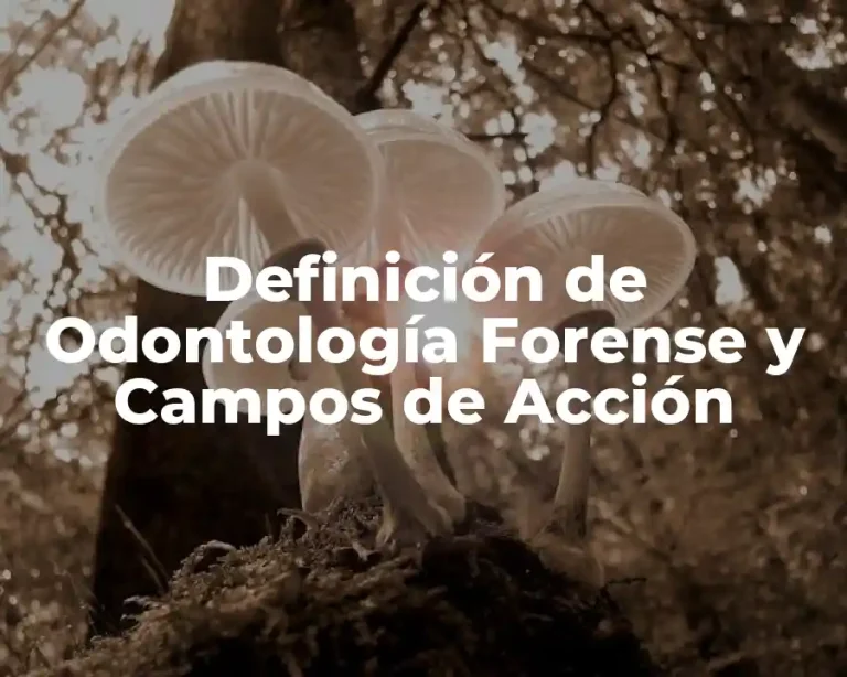 Definición de Odontología Forense y Campos de Acción