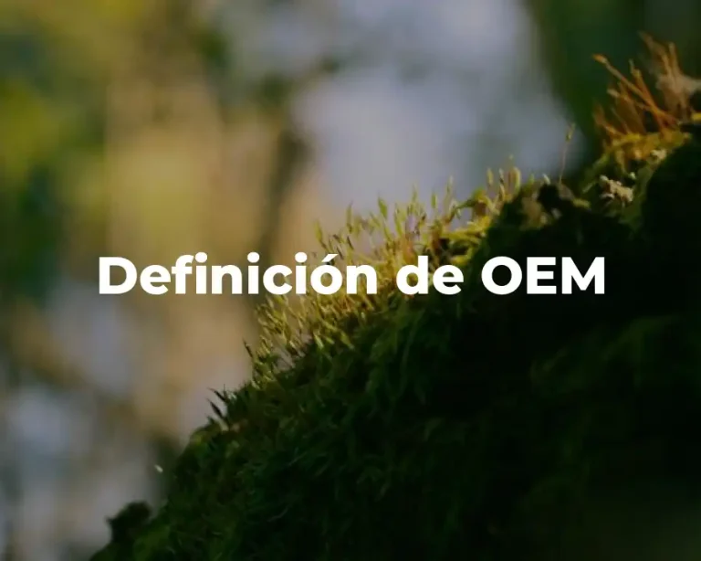 Definición de OEM