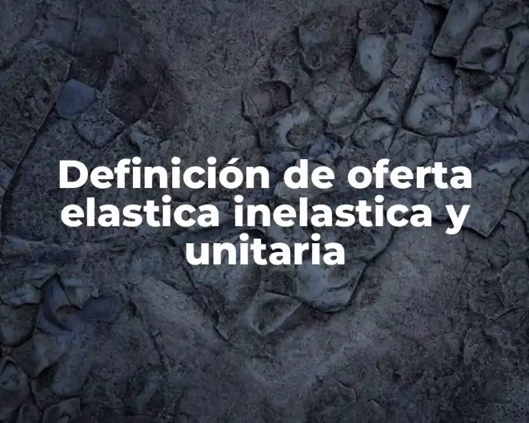 Definición de oferta elastica inelastica y unitaria