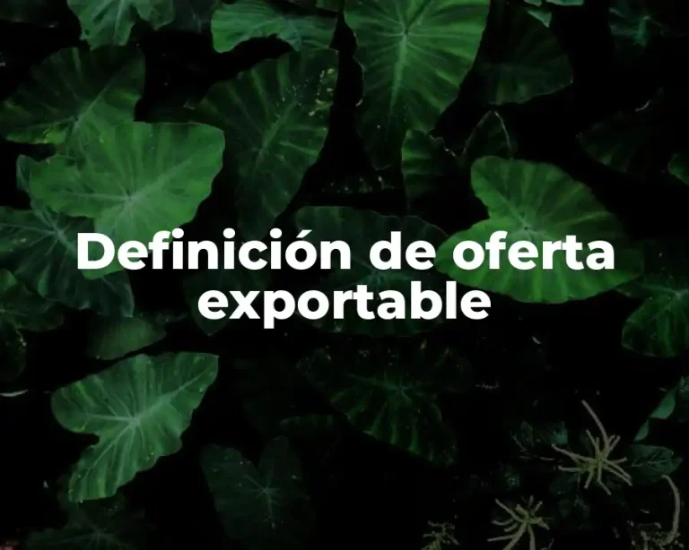 Definición de oferta exportable