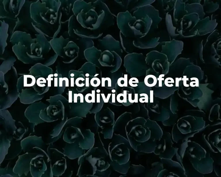 Definición de Oferta Individual